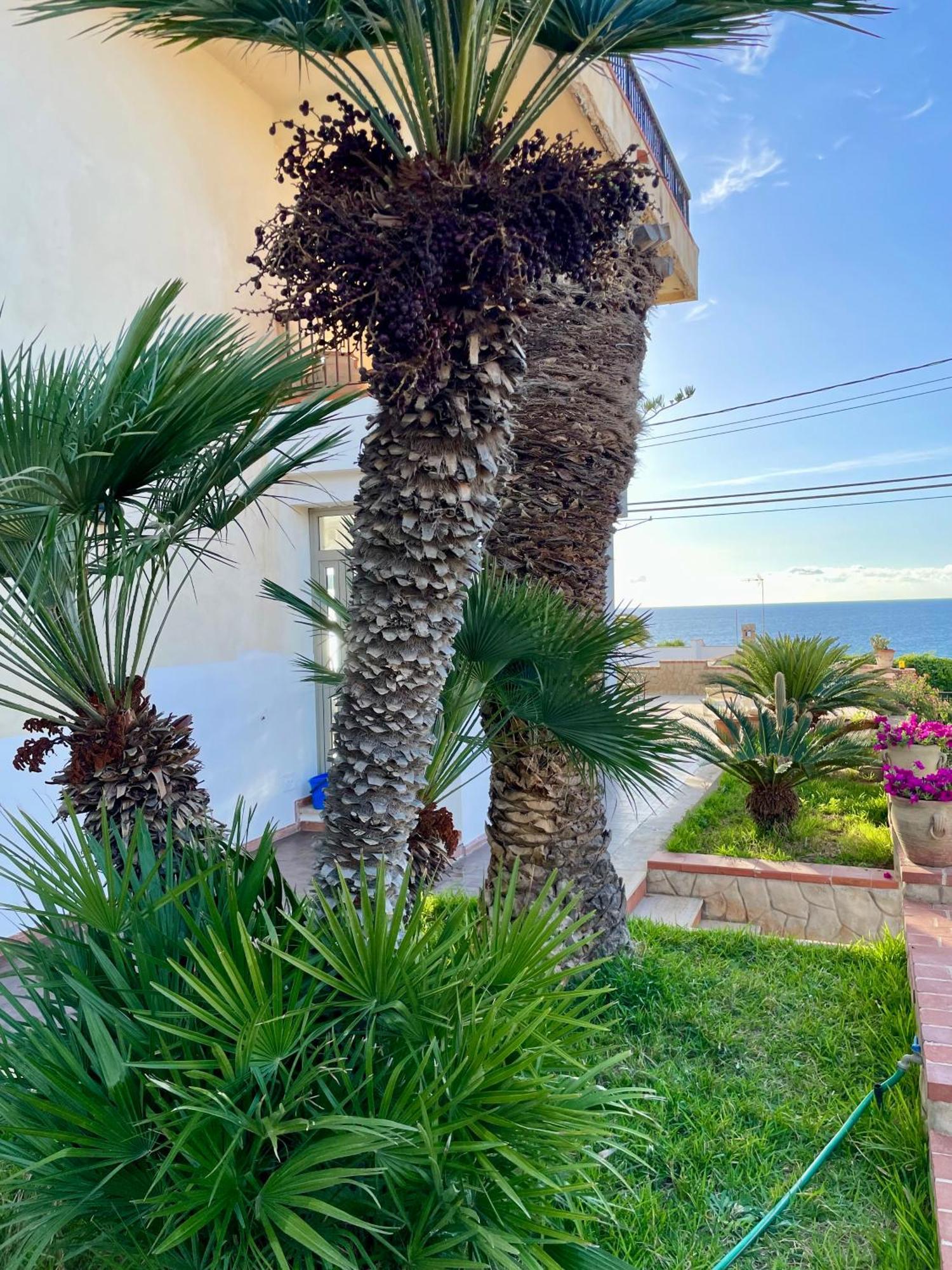 Villa Sul Mare Palazzolo Trappeto  Exteriér fotografie