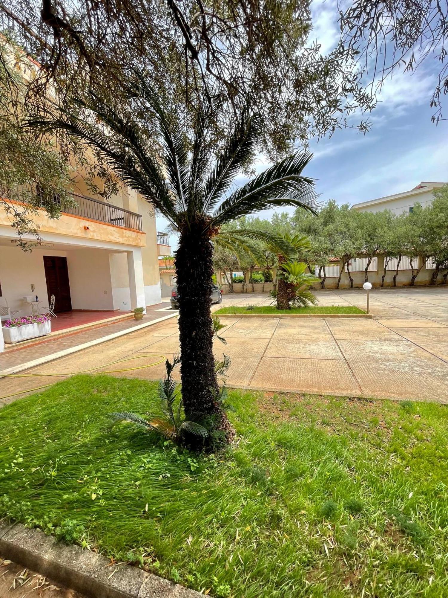 Villa Sul Mare Palazzolo Trappeto  Exteriér fotografie