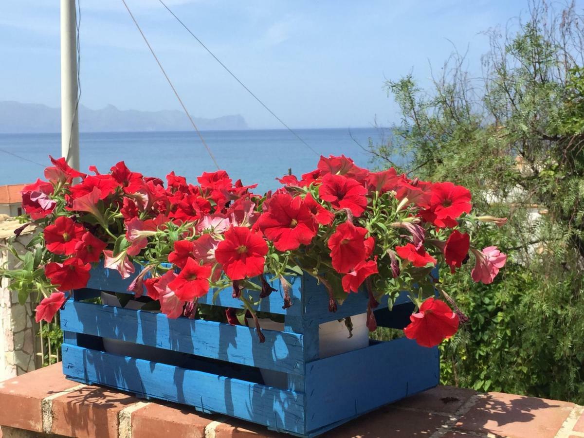 Villa Sul Mare Palazzolo Trappeto  Exteriér fotografie